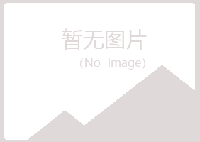 龙川县冰夏能源有限公司